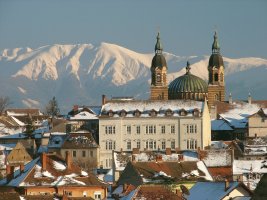 artice info