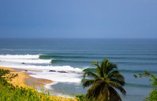 blog